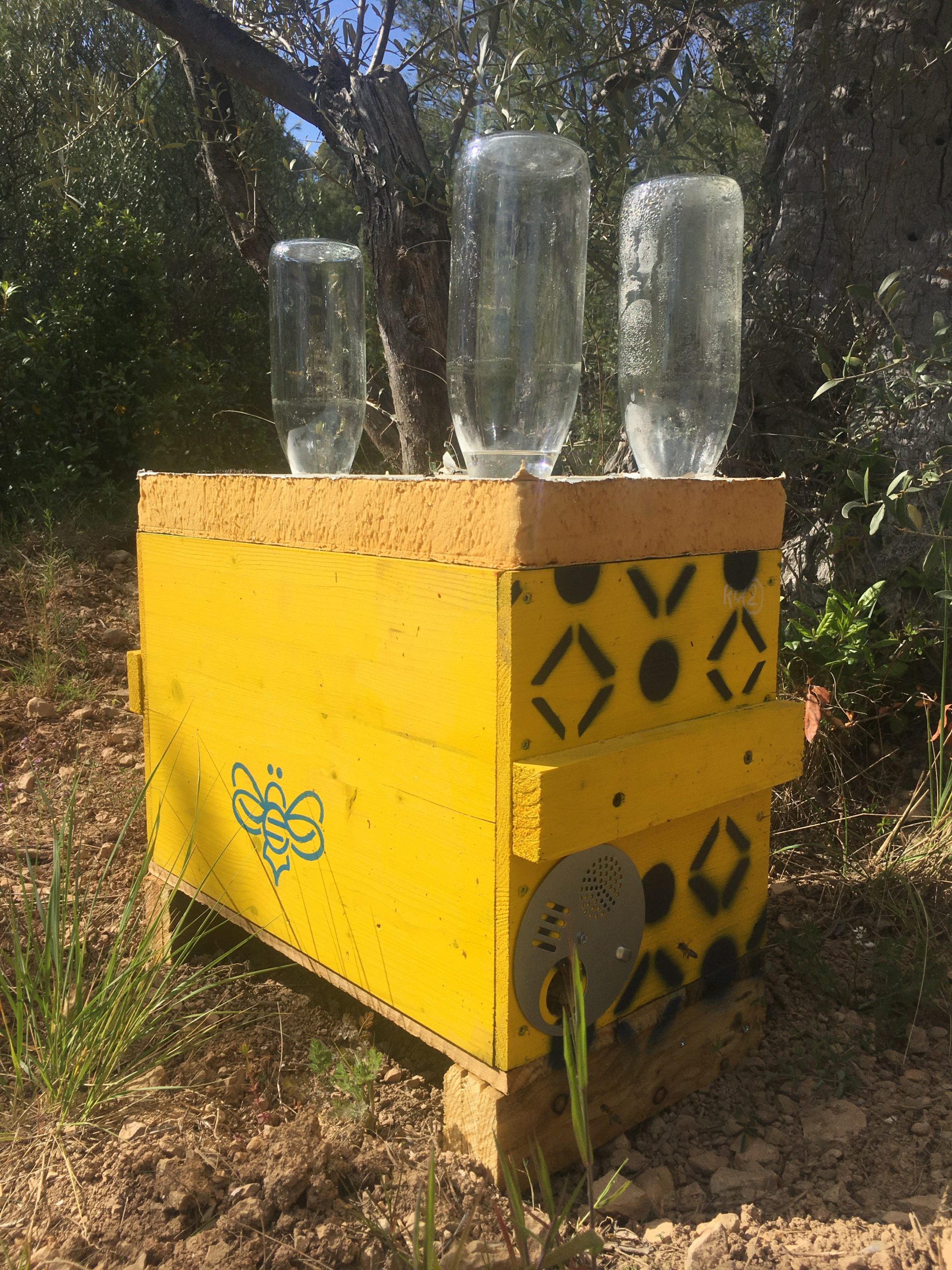 Quand et comment nourrir les abeilles avec du sirop ? La Ruche Tic — free download