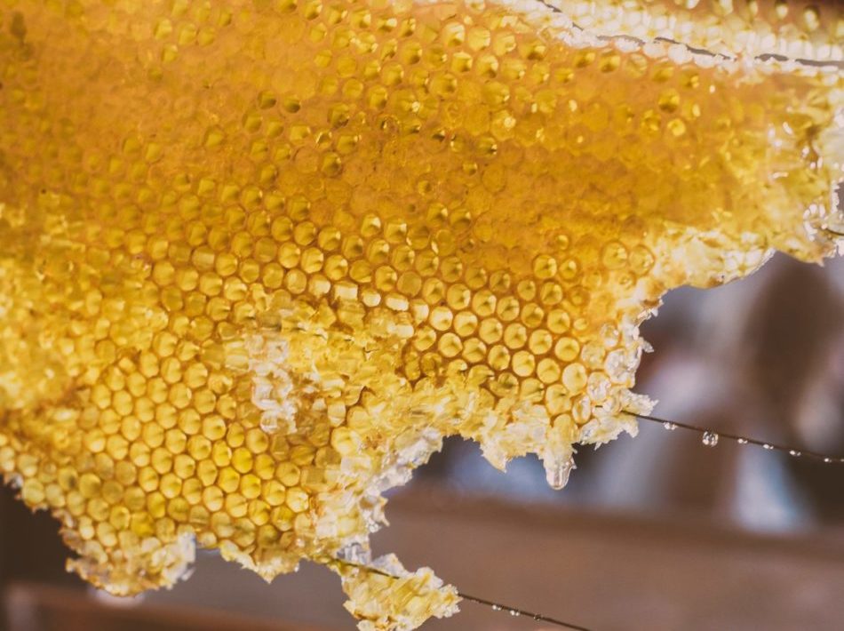 Cadre de hausses avec du miel