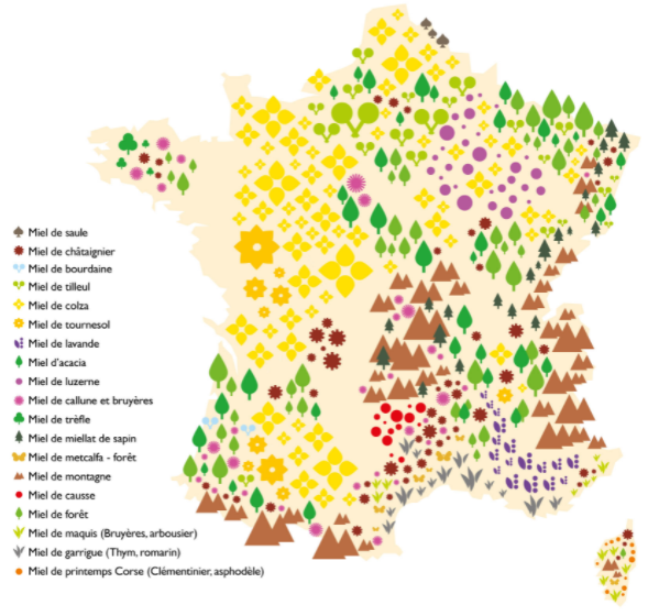 Les différentes régions de production de iel en France